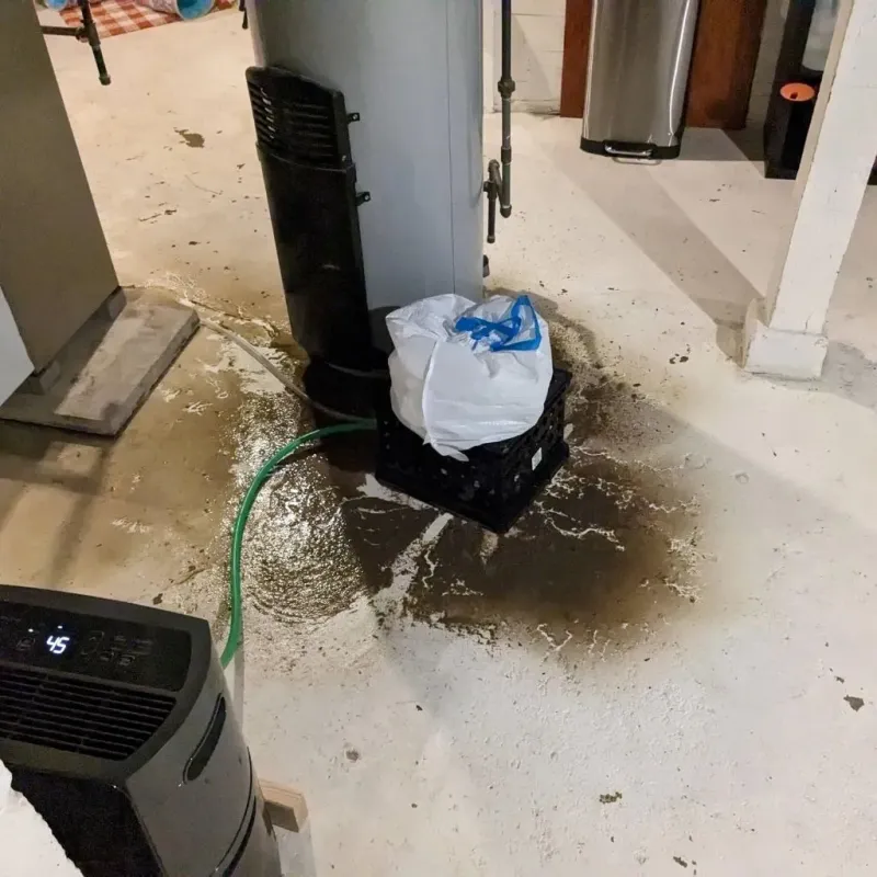 Sewage Backup Cleanup Service in Alamosa County, CO